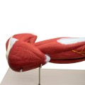 mięśnie ramienia model anatomiczny 5.jpg