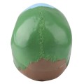 Model czaszki człowieka dydaktyczna kolorowa do lekcji anatomii  5.jpg