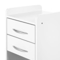 ACTIVESHOP-4 4594